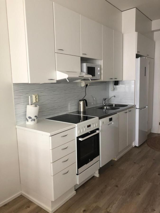 Wonderful Arctic City Apartment Rovaniemi Dış mekan fotoğraf