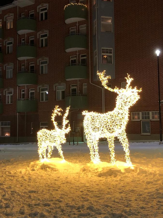 Wonderful Arctic City Apartment Rovaniemi Dış mekan fotoğraf