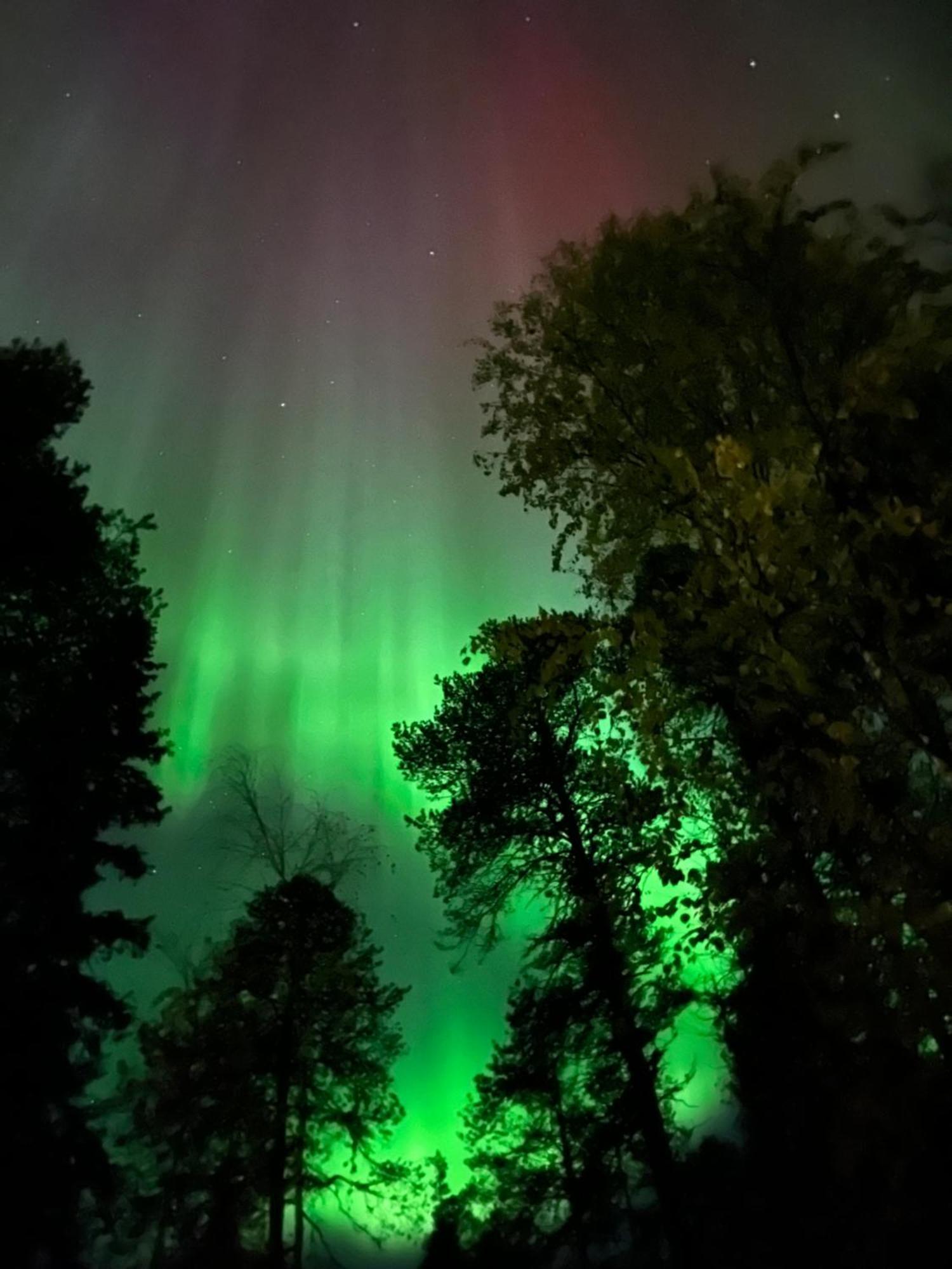 Wonderful Arctic City Apartment Rovaniemi Dış mekan fotoğraf